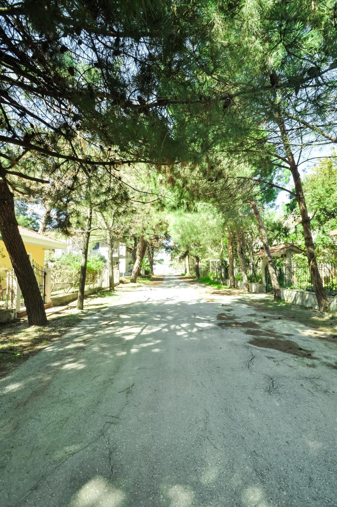 Ξενοδοχείο Βλαχογιάννης Πρίνος Εξωτερικό φωτογραφία
